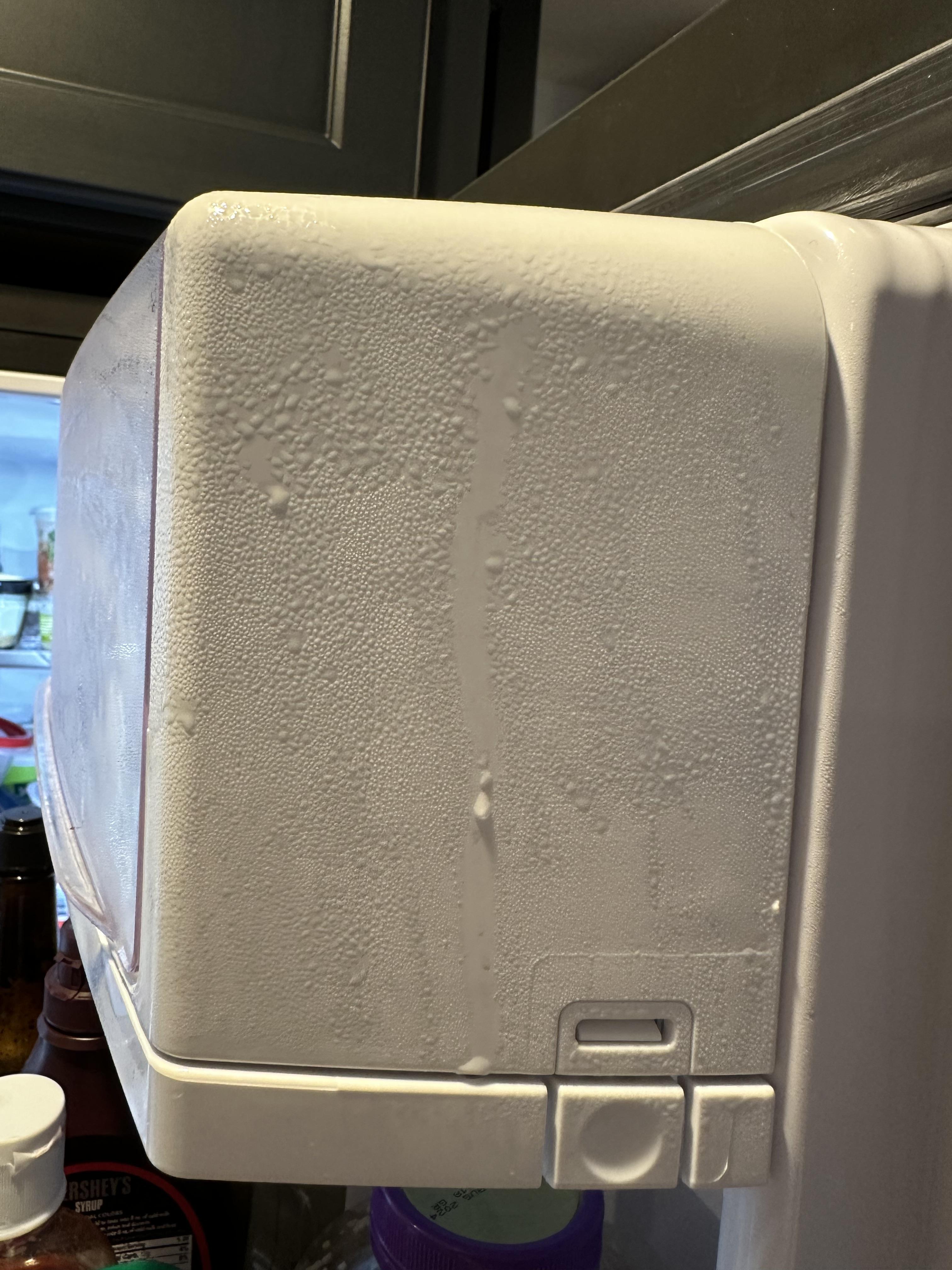 Image 4 of 5