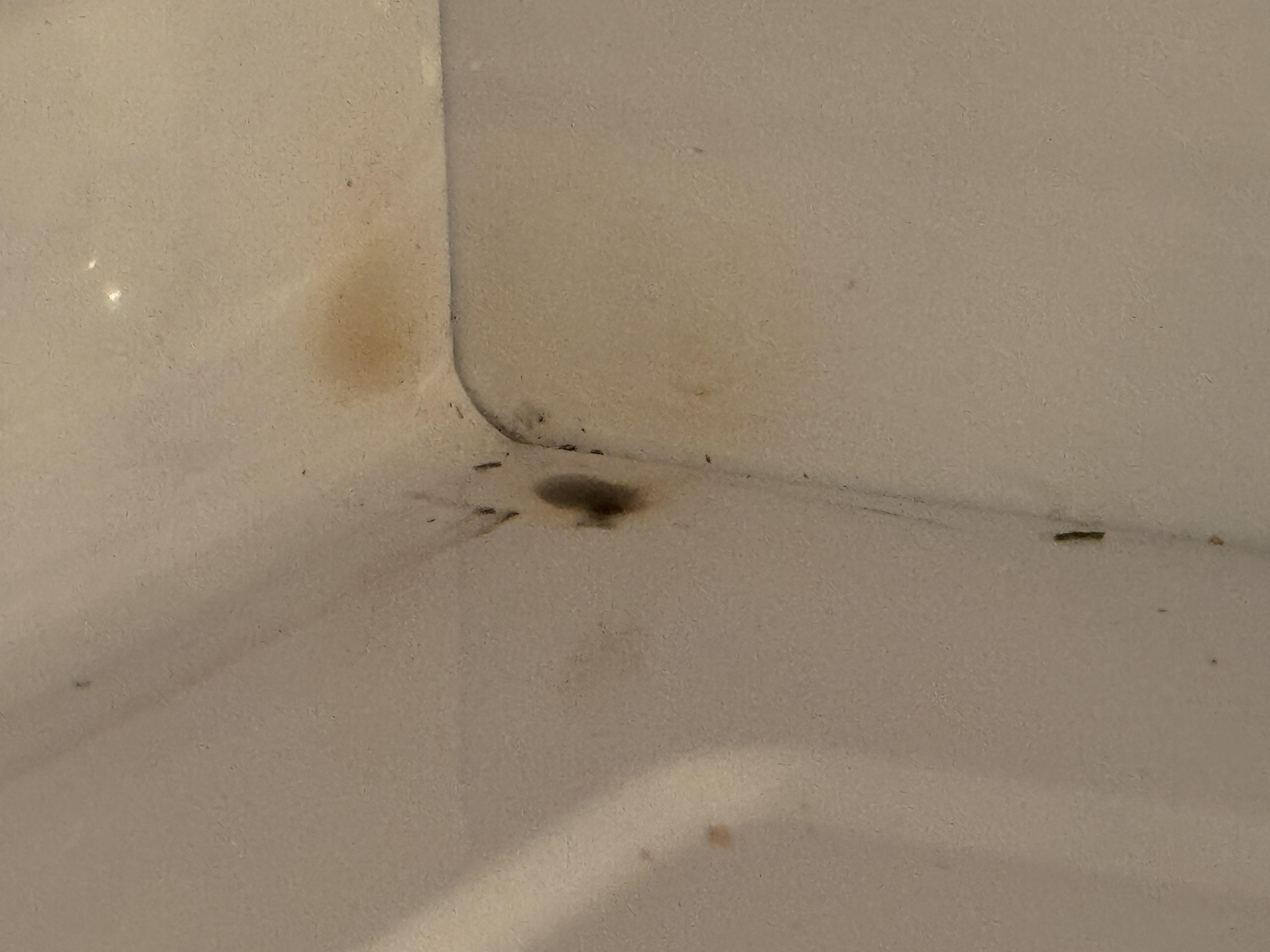 Image 2 of 2