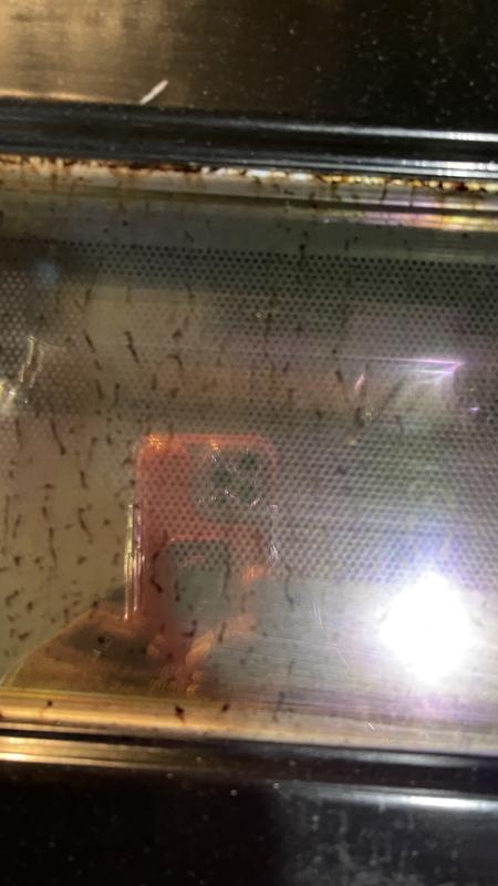 Customer photo 5 of 5. Click to open full size image.