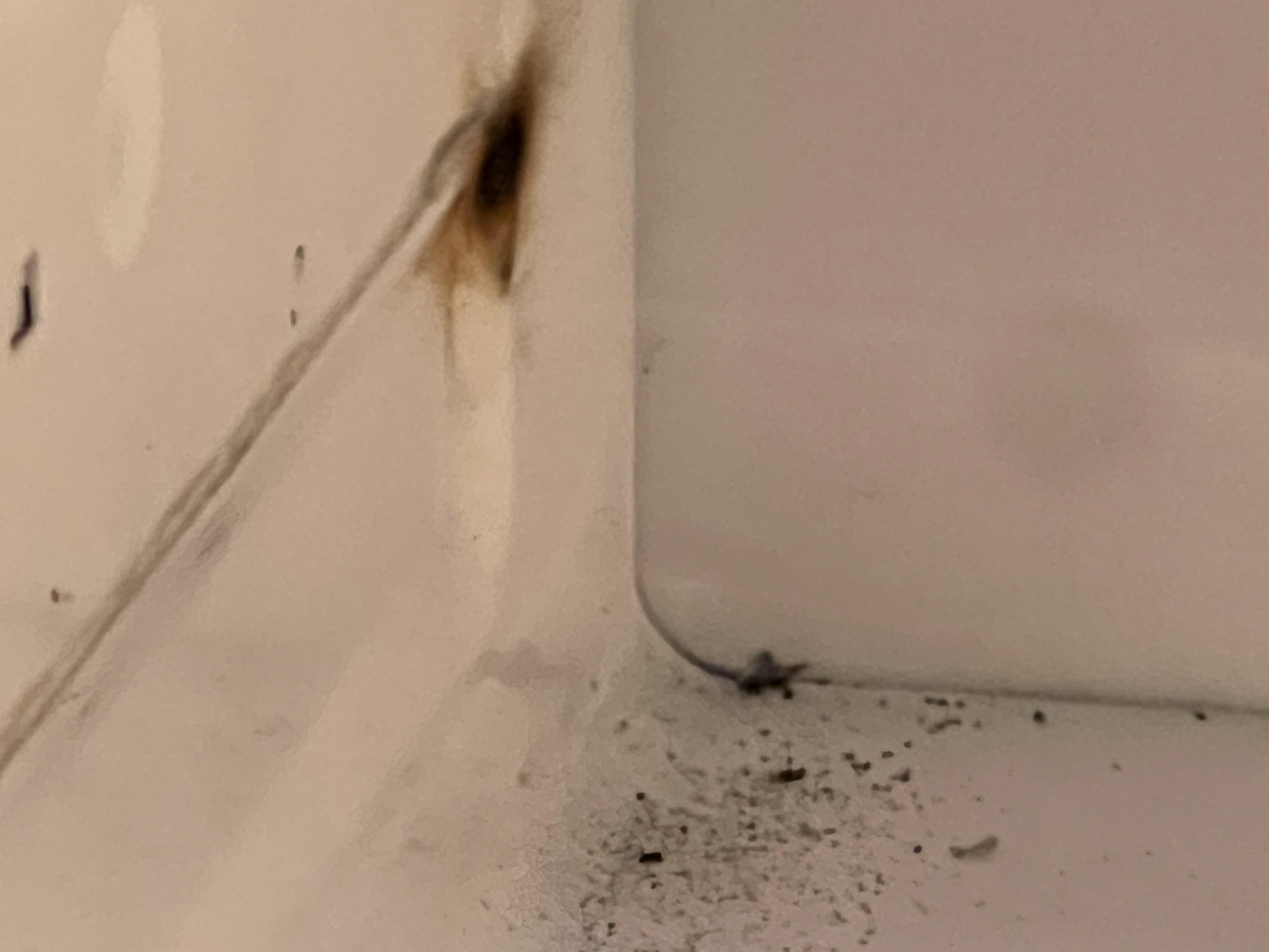 Image 2 of 2