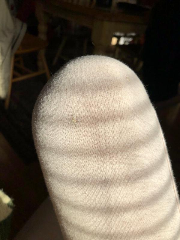 Photo submitted with review of product