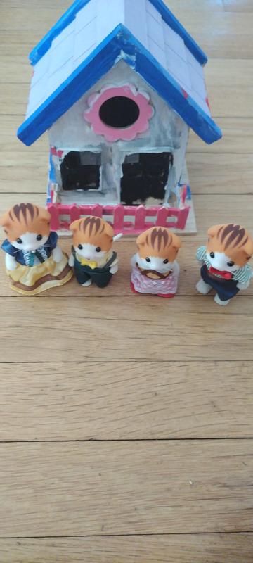 The Maple cat family in front of a wooden house I painted.