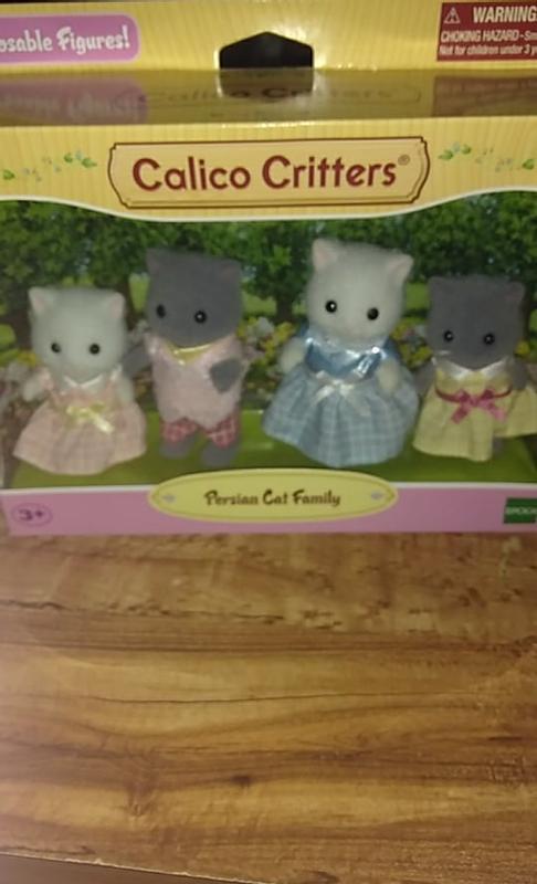 Persian cat calico outlet critters