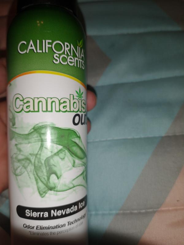 California Scents® Sierra Nevada Ice Cannabis Out Aerosol Spray, 3