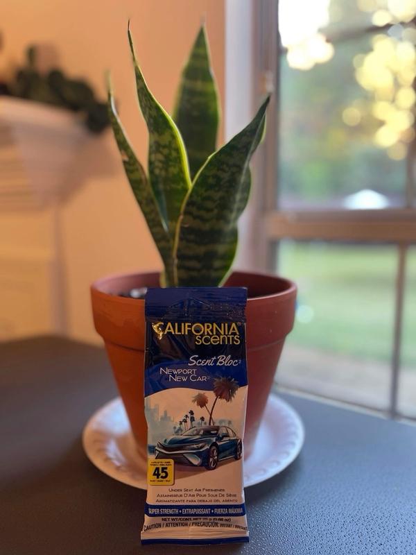 Photo - commentaire 7.