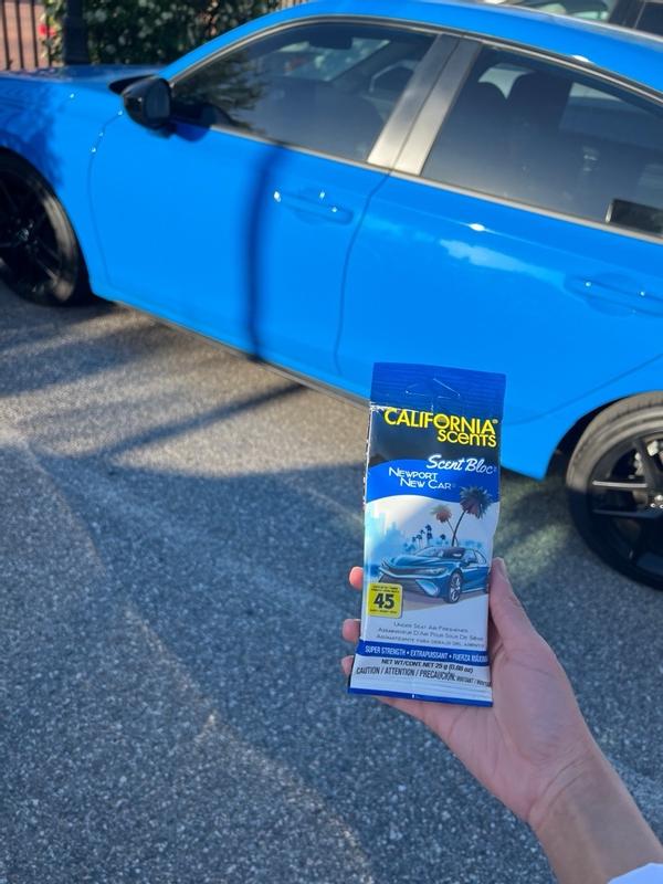 Photo - commentaire 6.