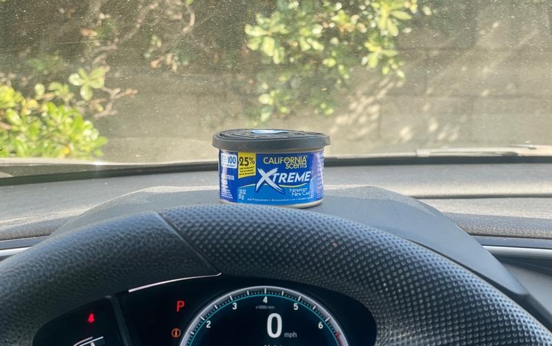 Photo - commentaire 8.