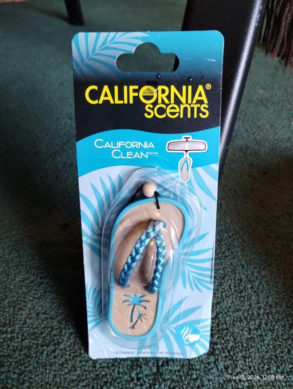 Photo - commentaire&nbsp;8.