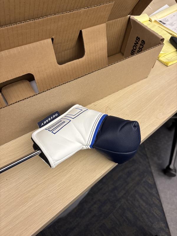 Ai-ONE Silver Double Wide DB Putter