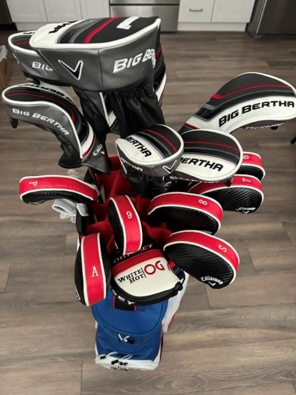 Big Bertha Irons