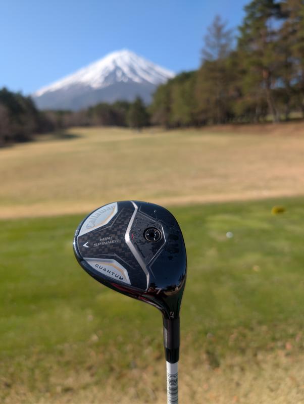 QUANTUM MINI SPINNERフェアウェイウッド