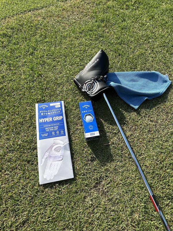 MICROHINGE DWパター | Odyssey Putters | クラブ