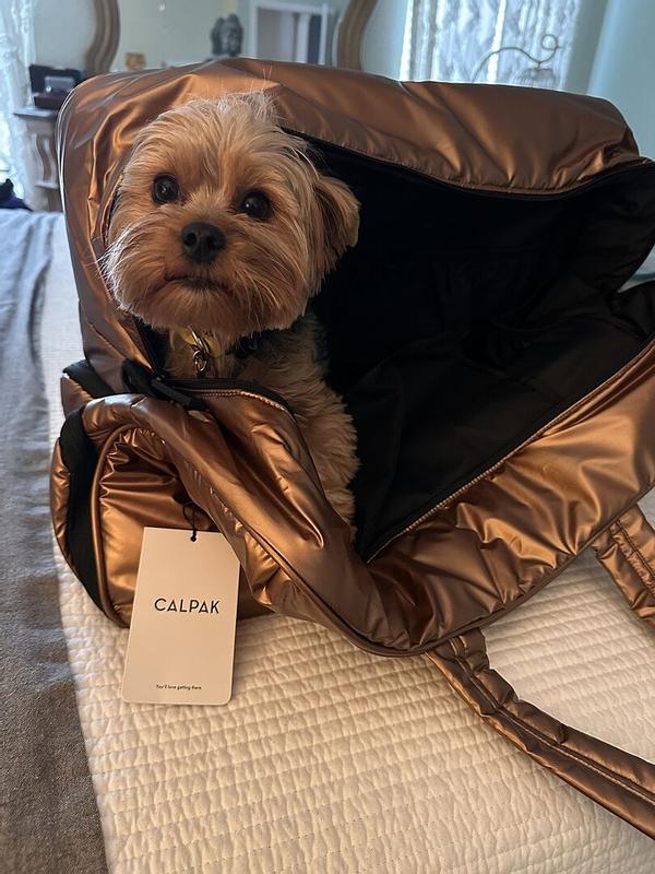 Customer photo for "She loves it too!"