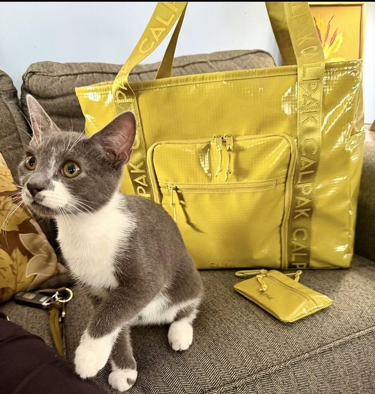 Customer photo for "My new favorite bag"