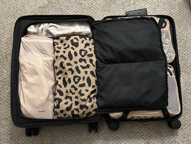 I only use Calpak packing