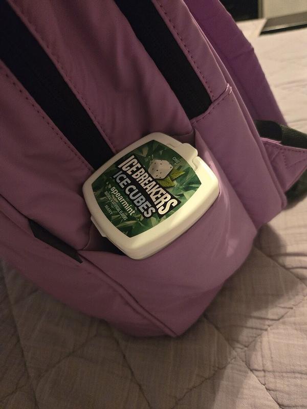 Customer photo for "I've only had the bag since March. . ."