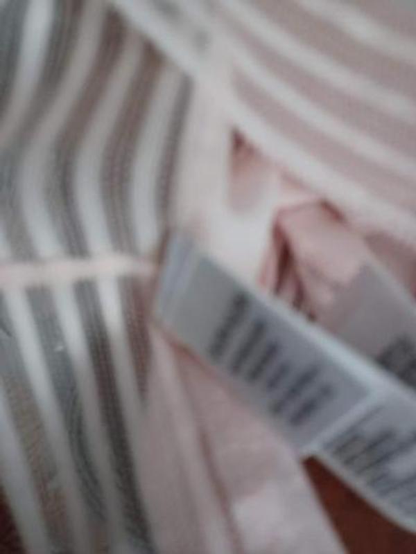 inside panty