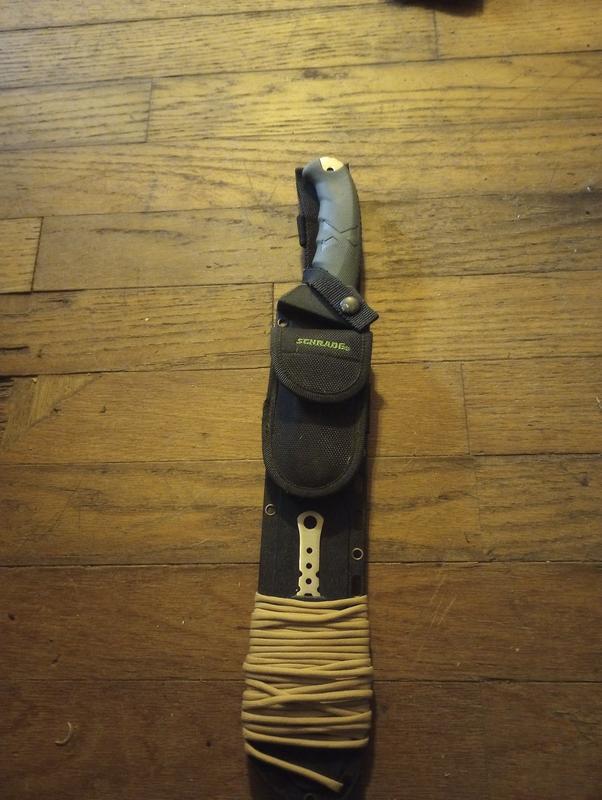 Photo - commentaire 7.