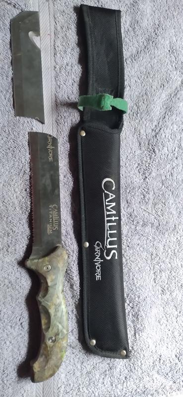 Pic worth 1000 words