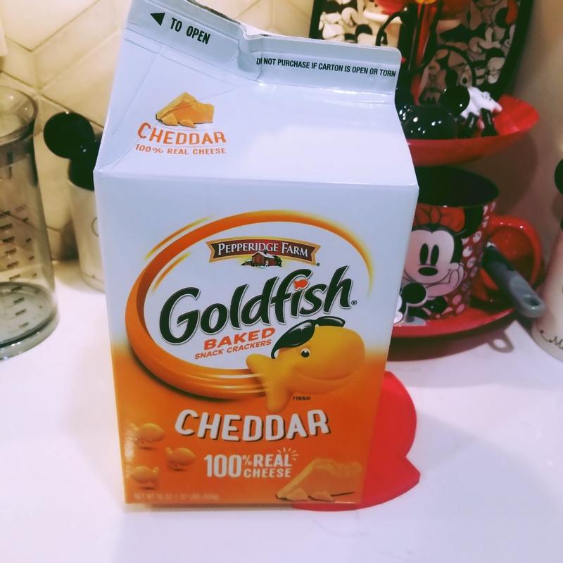 Pepperidge Farm Goldfish plastic snack box container 1999 shaped vintage