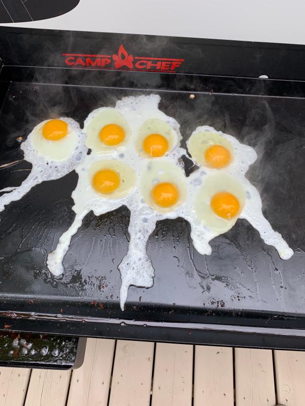 Photo submitted with review of product