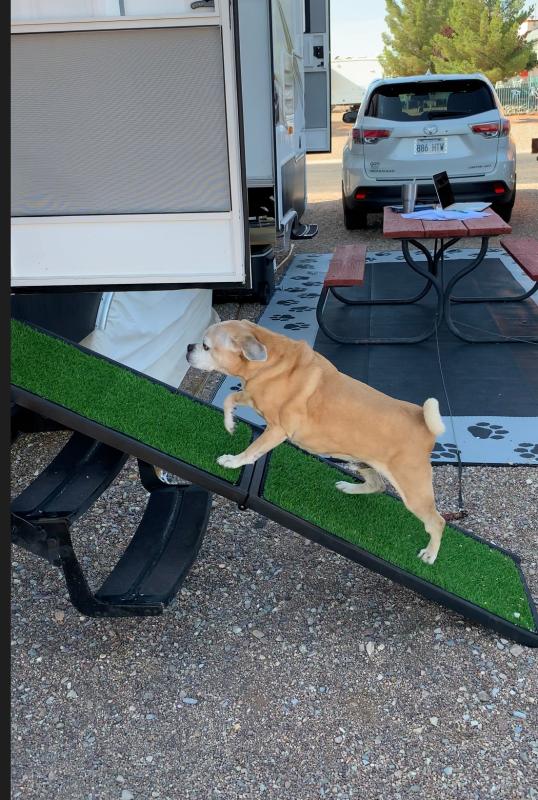 camping world dog ramp