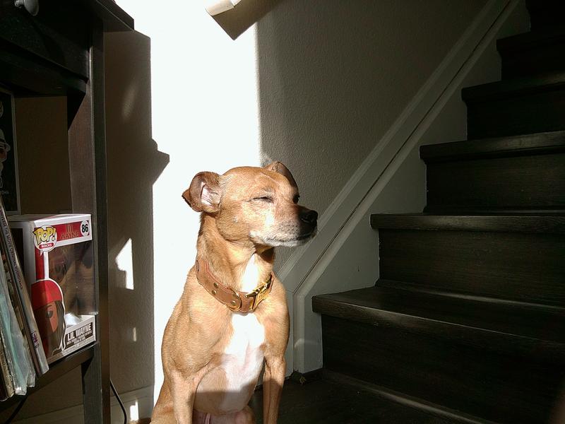 User uploaded product image