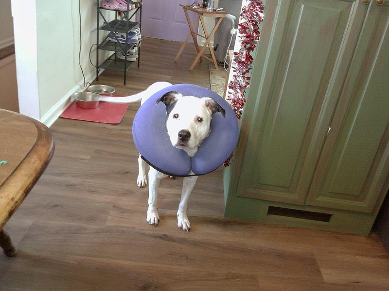 User uploaded product image