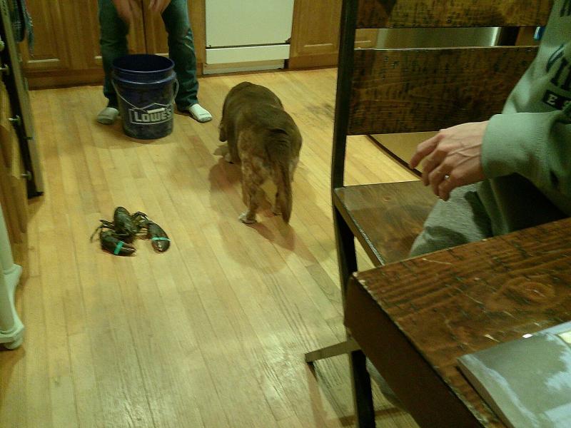 User uploaded product image