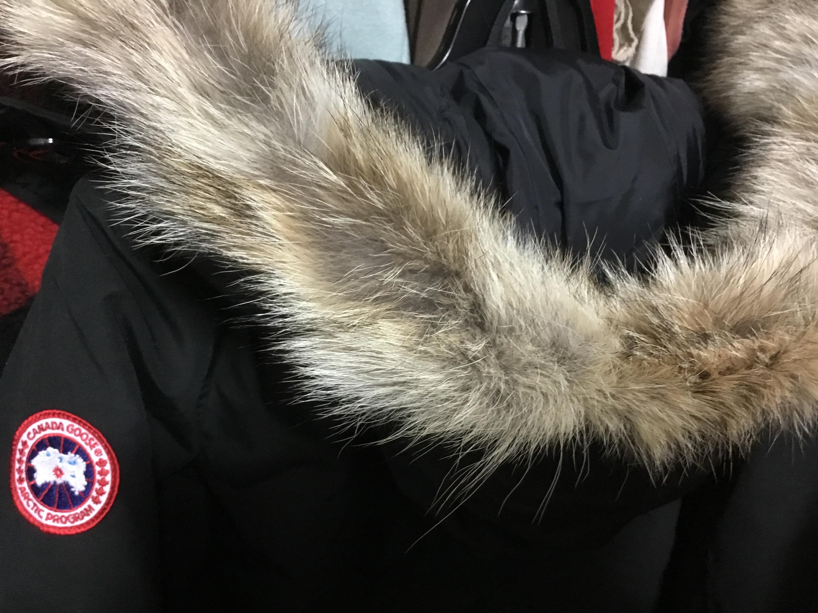 Atmosphäre Ursprung Läuft einfach canada goose fur hood replacement