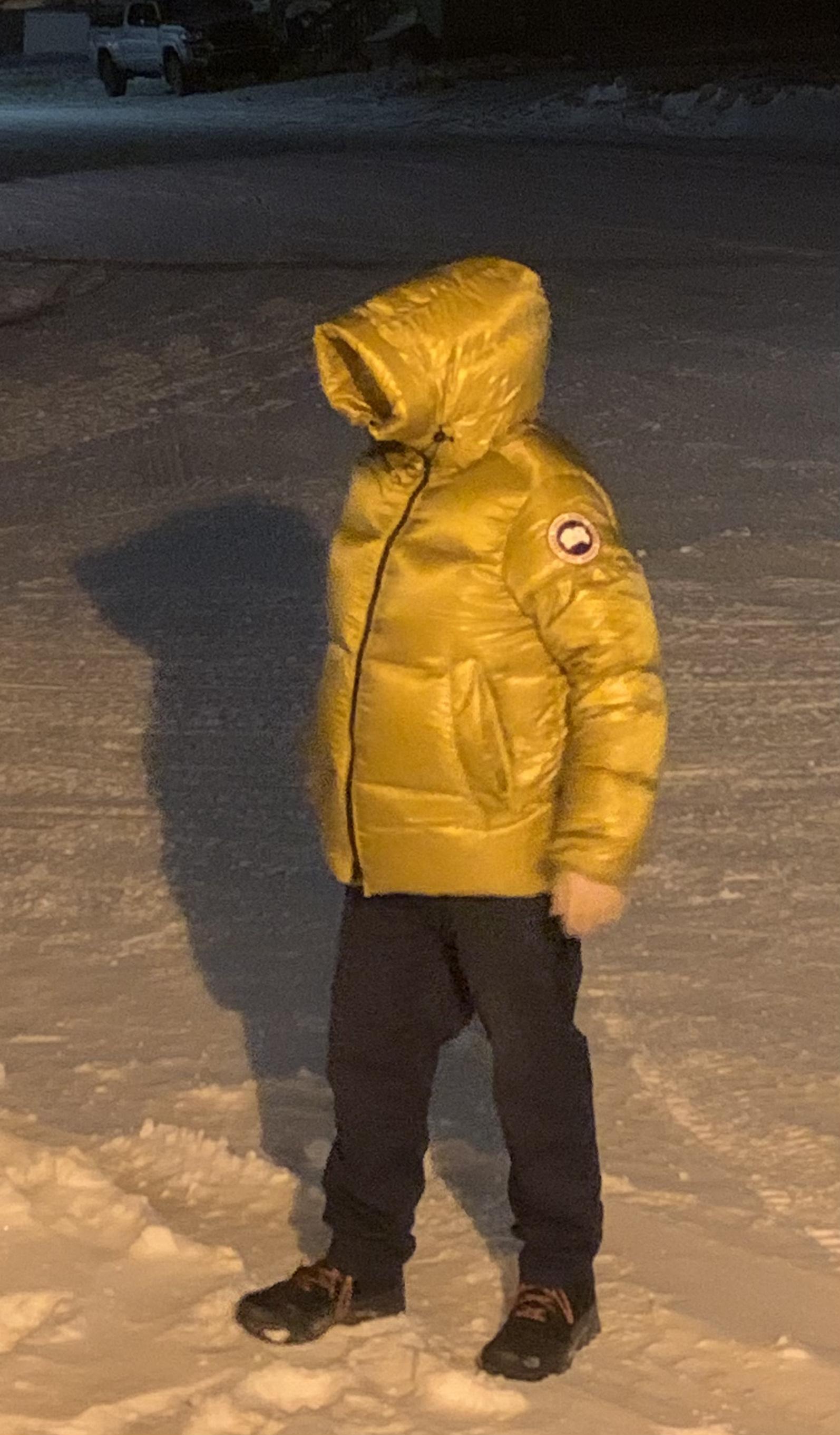 Canada Goose Quebec City 91402 | ppgbbe.intranet.biologia.ufrj.br