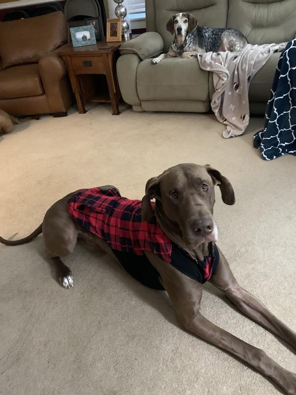 Canada Pooch Thermal Tech Fleece Red Plaid Dog Vest - Size 16