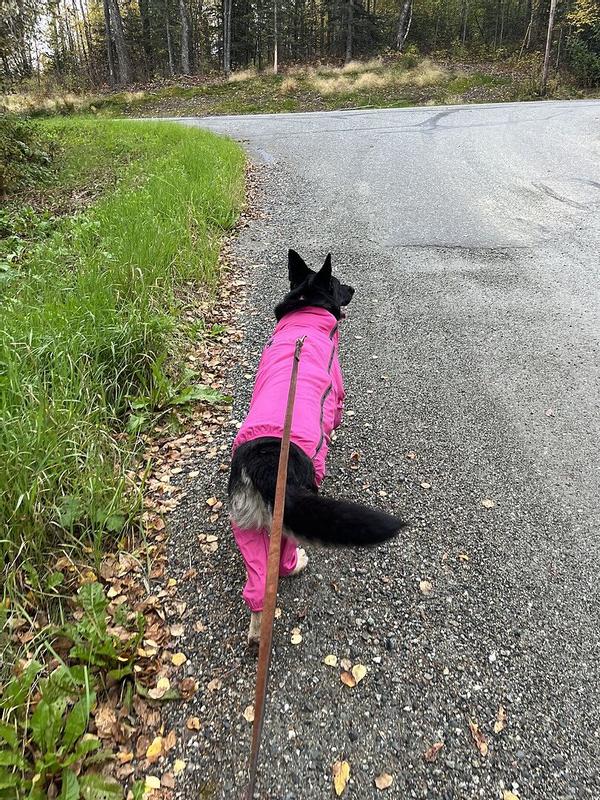 Canada Pooch Pink Slush Suit for Dogs X-Small at Lowes.com
