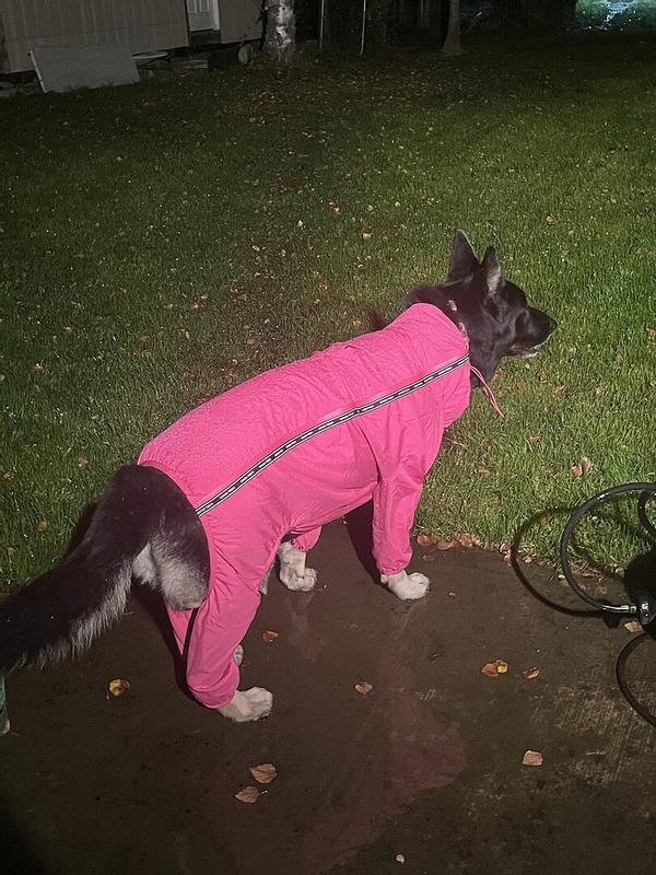 Canada Pooch Pink Slush Suit for Dogs X-Small at Lowes.com