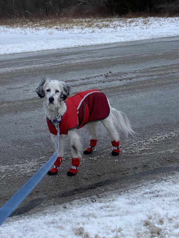 Canada pooch outlet boots