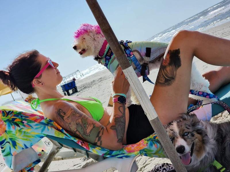 Canada Pooch Rainbow Chill Seeker Cooling Dog Vest, Large Petco