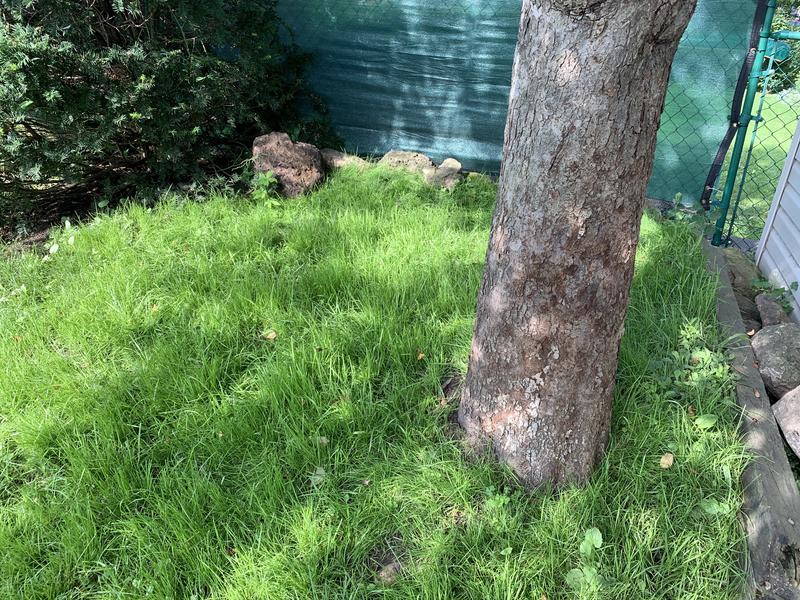 Photo - commentaire&nbsp;4.