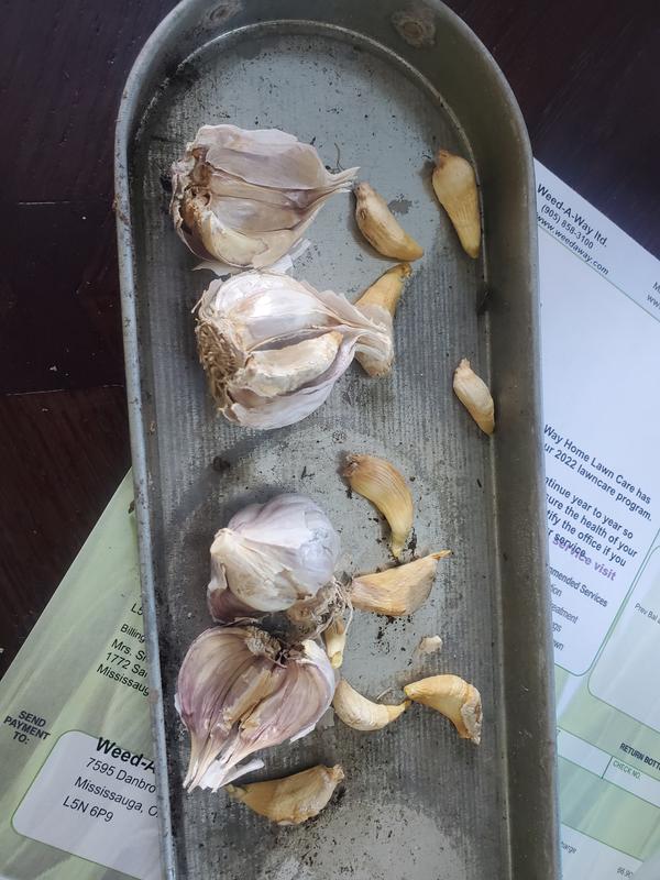 Photo - commentaire&nbsp;1.