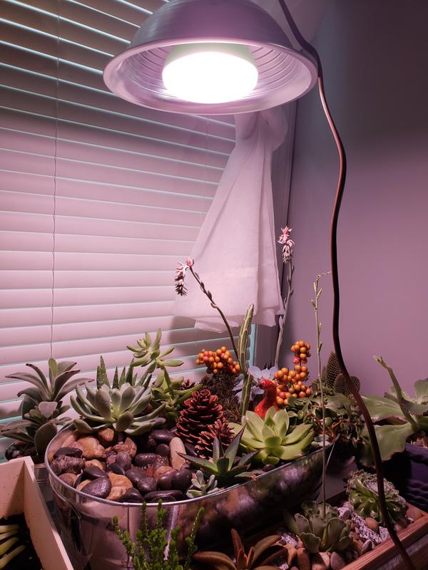 Photo - commentaire&nbsp;4.