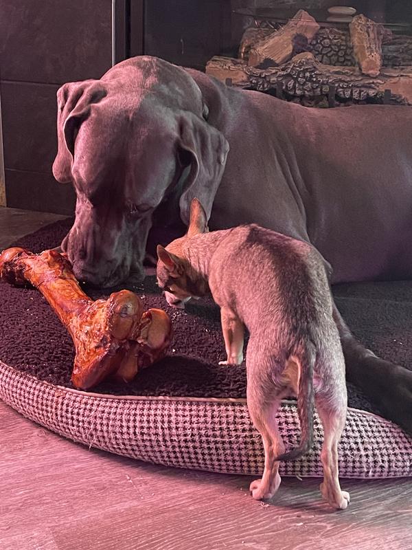 Brothers sharing!