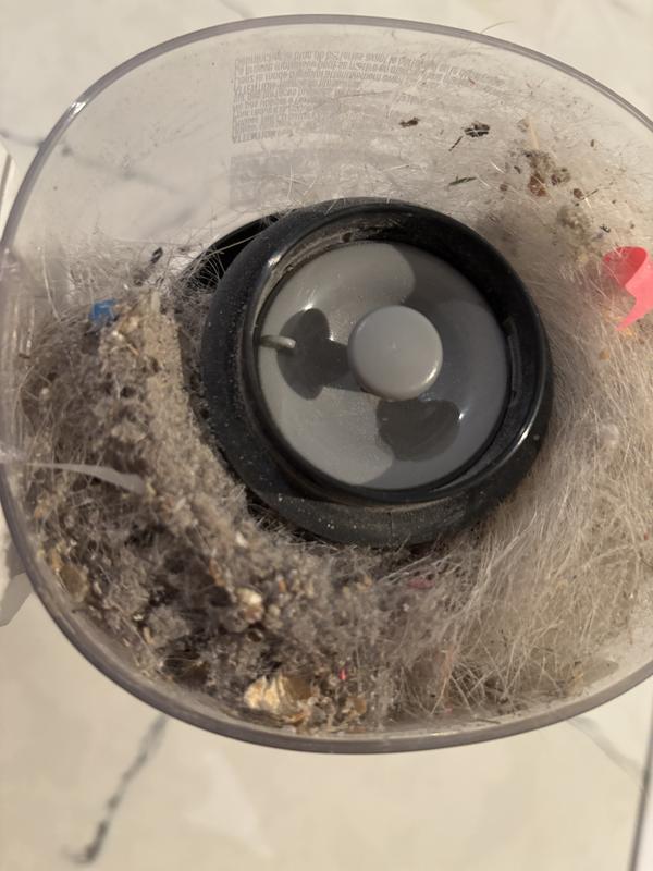 Dust from basement carpet and dog fur after brushing.