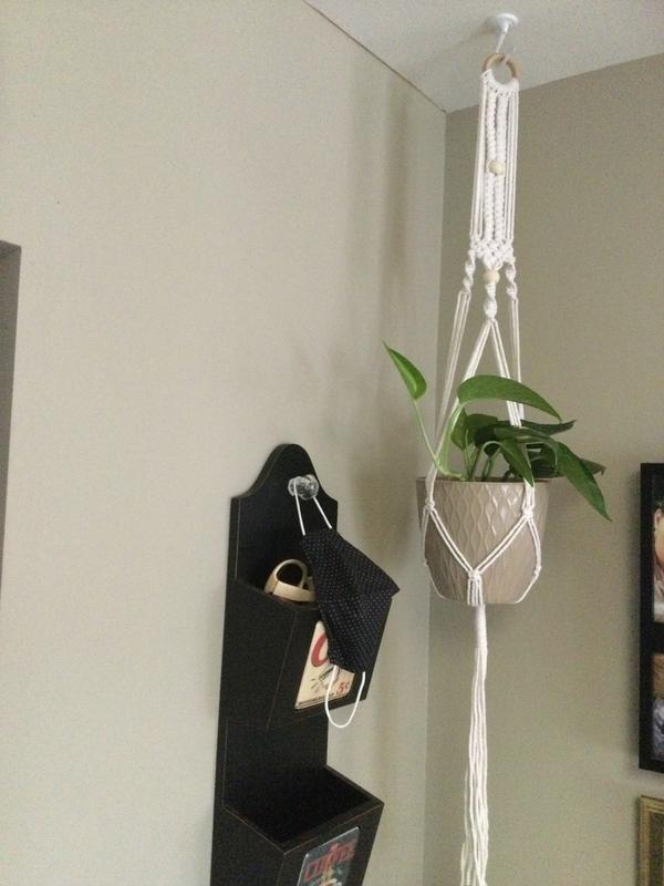 Photo - commentaire&nbsp;2.