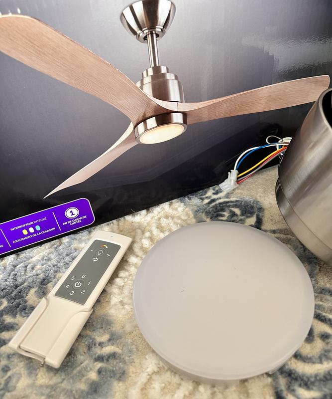 Photo - commentaire 2.