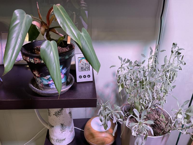 Photo - commentaire&nbsp;1.