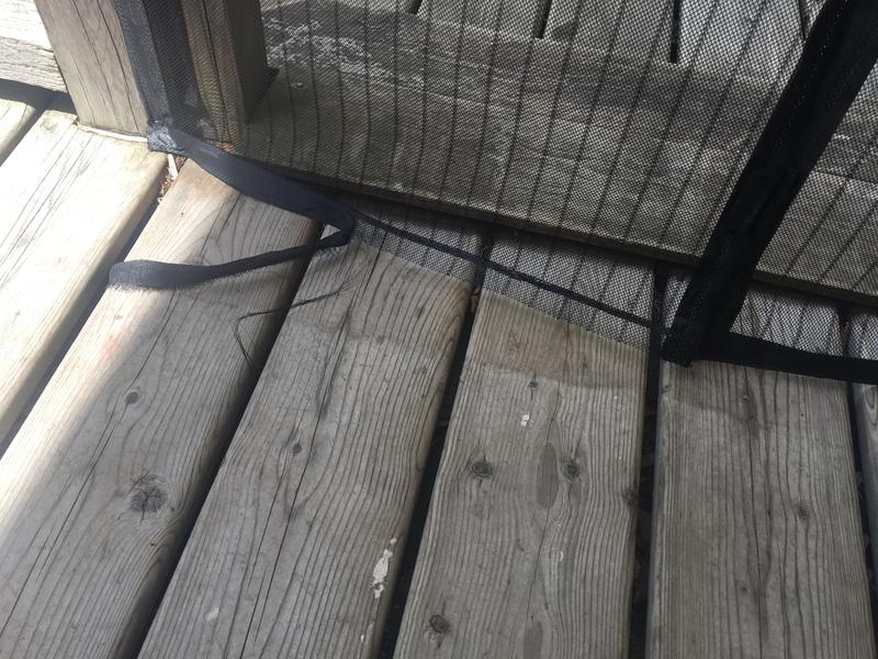 Photo - commentaire&nbsp;2.