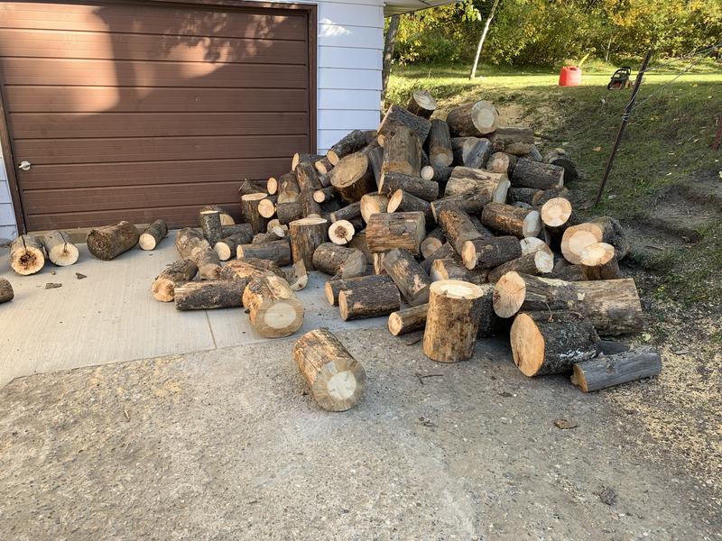 Only sharpened the chain once for this pile