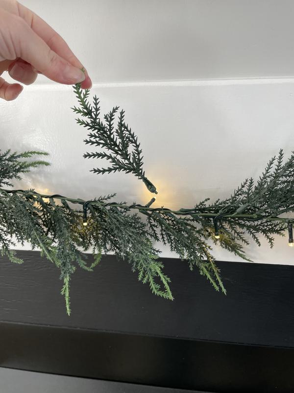 You can’t fix the branches, they just fall off