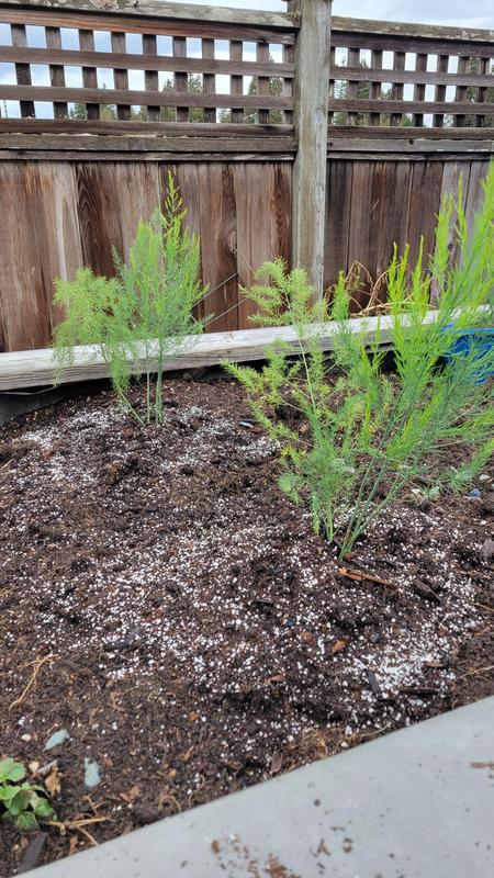 Photo - commentaire 1.