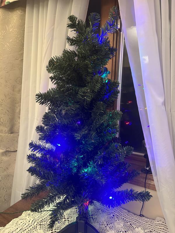 Photo - commentaire 5.