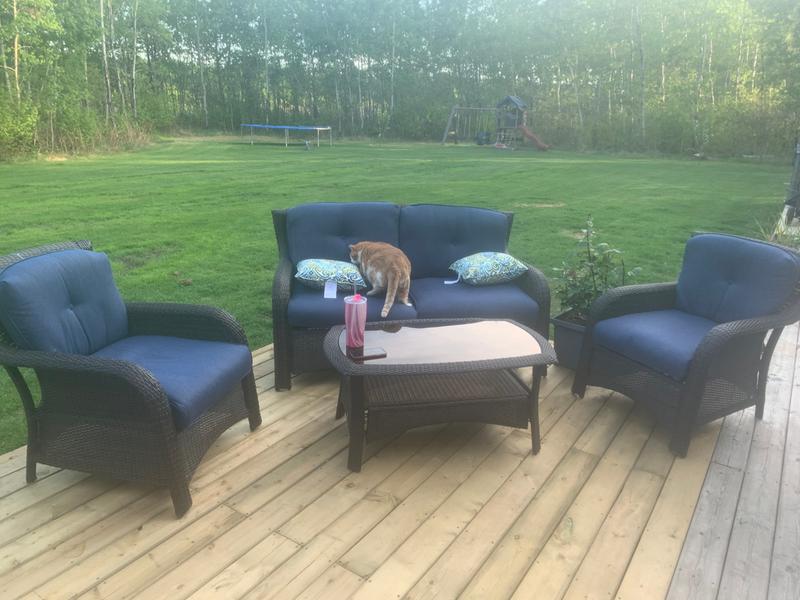 Meatball enjoying the cushions